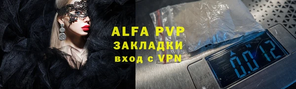 эйфоретик Гусь-Хрустальный