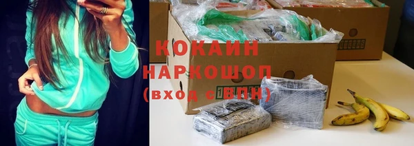 эйфоретик Гусь-Хрустальный