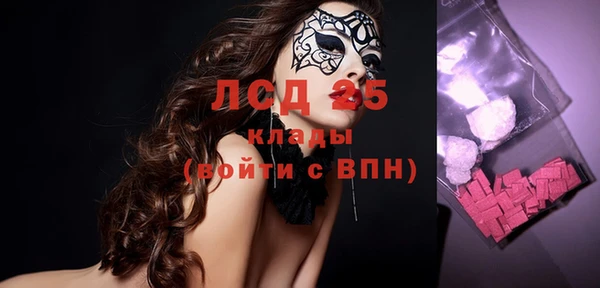 эйфоретик Гусь-Хрустальный