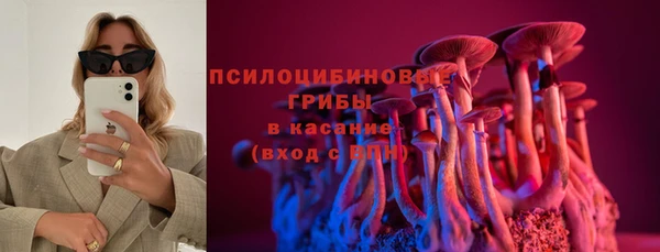 эйфоретик Гусь-Хрустальный