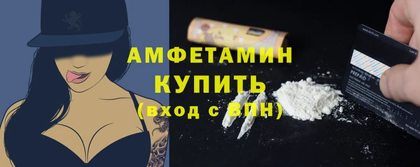 эйфоретик Гусь-Хрустальный