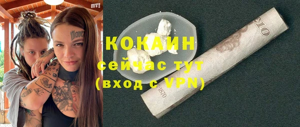 эйфоретик Гусь-Хрустальный