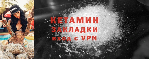 эйфоретик Гусь-Хрустальный