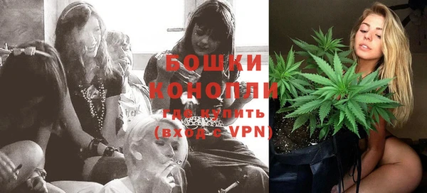 эйфоретик Гусь-Хрустальный