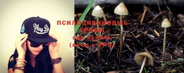 эйфоретик Гусь-Хрустальный