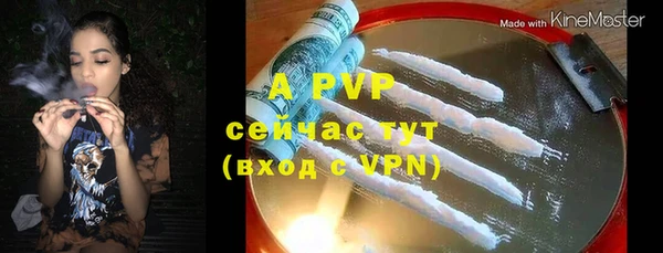 эйфоретик Гусь-Хрустальный