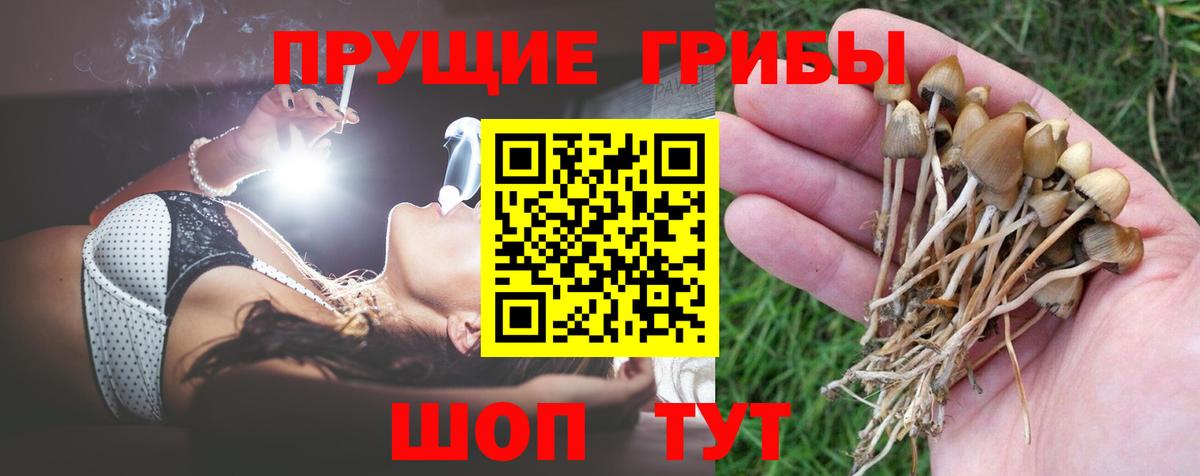 Галлюциногенные грибы Psilocybine cubensis  Вход с VPN  Псилоцибиновые грибы Magic Shrooms  Ивантеевка 